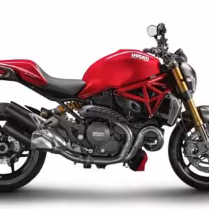 Ducati Monster 1200 Cruise Kit